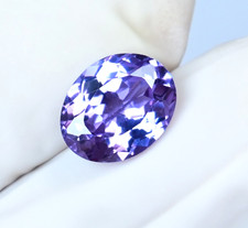  on The Hot Collector