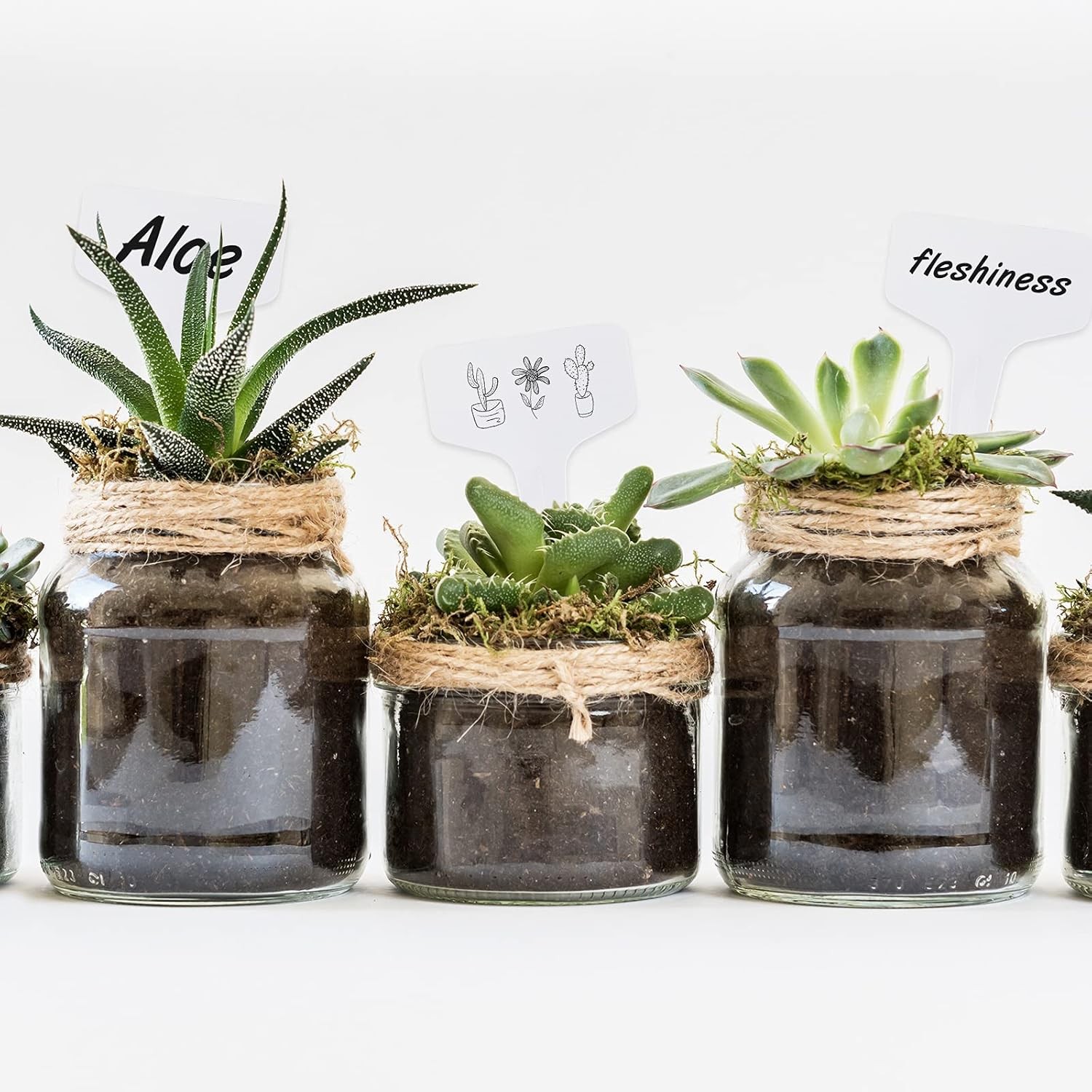 Plant Labels 200PCS 4 Inch Plastic Plant Name Tags Garden Labels Markers T-Type