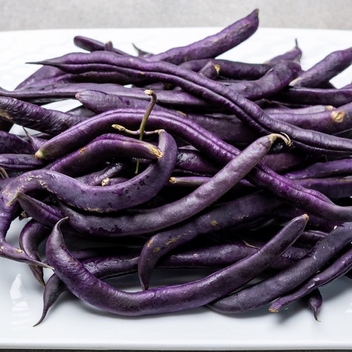 1 Lb Royal Burgundy Green Bush Bean Seeds - Everwilde Farms Mylar Seed Packet - Picture 2 of 2