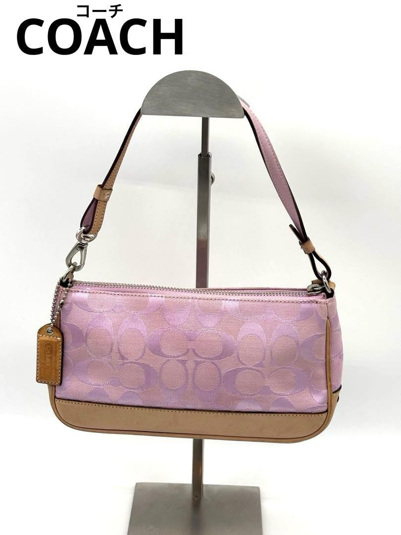 バッグ COACH Signature AccessoryPouch Pink 6094 COACH Signature Accessorypouch Pink 6094 | eBay