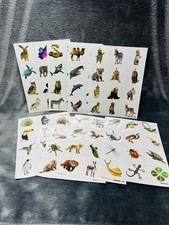 Safari Animals Temporary Tattoos for Kids Birthday Party Supplies - 96 pcs