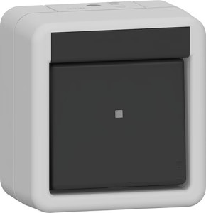 Gira 310230 Wippschalter 10 Ax 250 V~ Ausschalter 2-Polig Wg Ap Grau-image