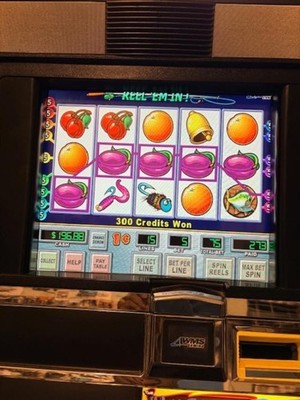 WMS BB1 SLOT MACHINE SOFTWARE 2 GAME CARD & OS SET REEL EM IN & REEL EM IN POKER