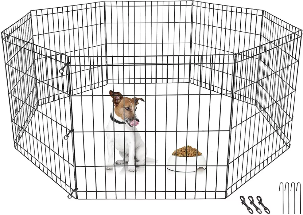 Corral dog clearance