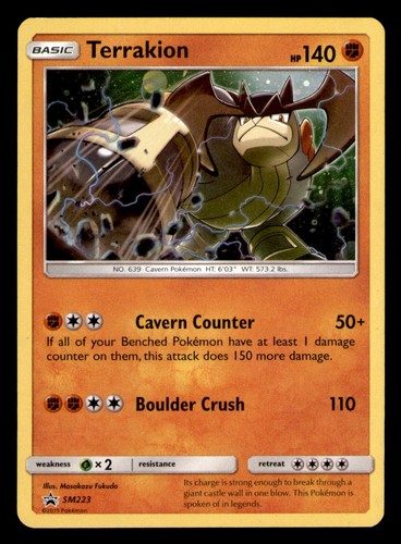 Terrakion - SM223 Holo Promo Sun & Moon Promo Pokemon Lightly Played