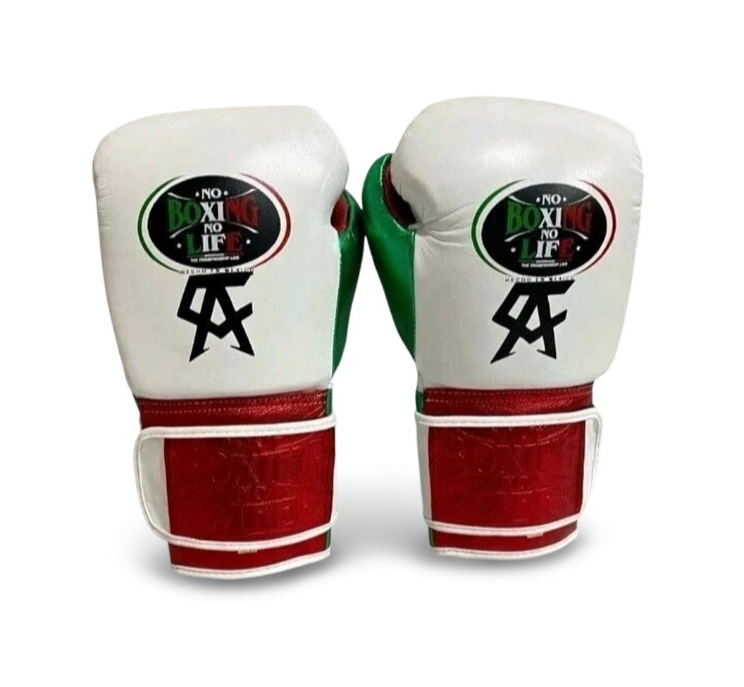 No Boxing No Life Boxing Gloves Pro Training Sparring winning