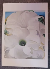vtg postcard Georgia O'KEEFFE Jimson Weeds painting flowers art unposted