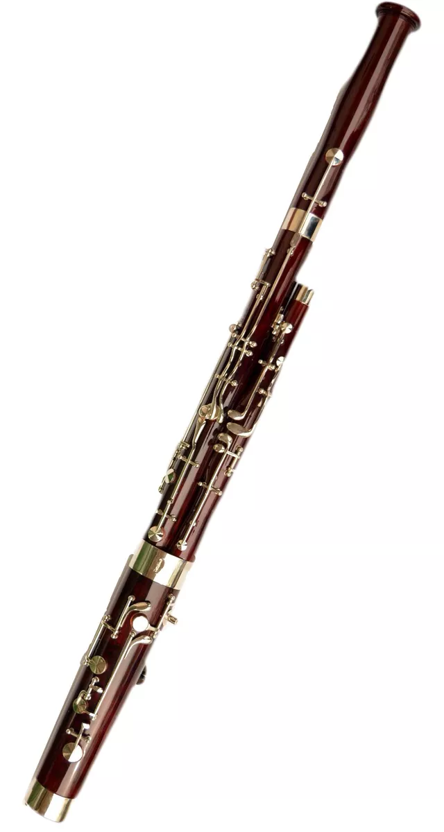 Ebay bassoon cheap