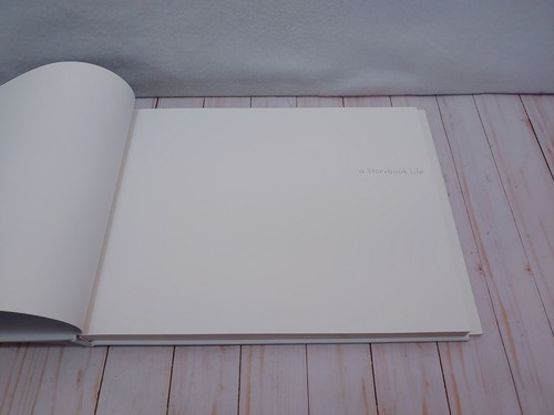 A STORYBOOK LIFE By Philip-lorca Dicorcia Hardcover Limited 3rd Edition Of 2000 - Afbeelding 16 van 18