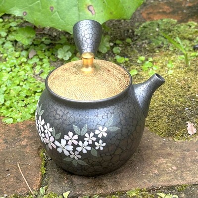 Teapot Shoryu Tenmoku Glaze Gold Lid Sakura Tokoname ware JAPAN