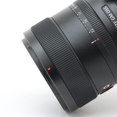 SONY FE 100mm F/2.8 STF GM OSS SEL100F28GM (for SONY E mount) #312 - Picture 7 of 12