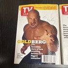 TV Guide Lot of 3 Wrestling Cover Magazines Goldberg Austin The Rock Dec/Mar — photo 3