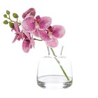 Rogue Artificial Orchid Flower Stem in Clear Vase Fake Floral Decor Purple/Glass