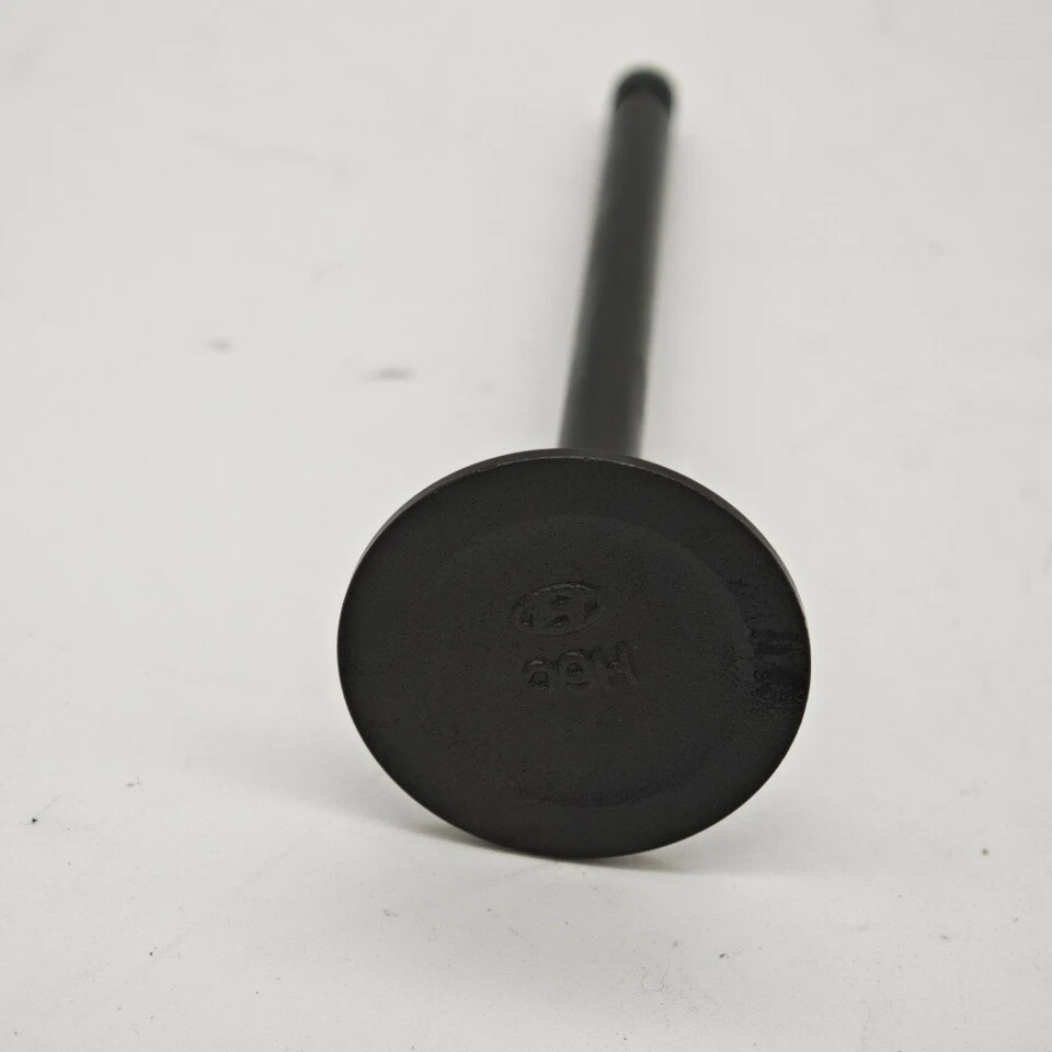 Válvula de admisión y escape del motor 16 piezas para 06-11 Hyundai Accent Kia Rio Rio5 1,6 L Foto 4 de 4