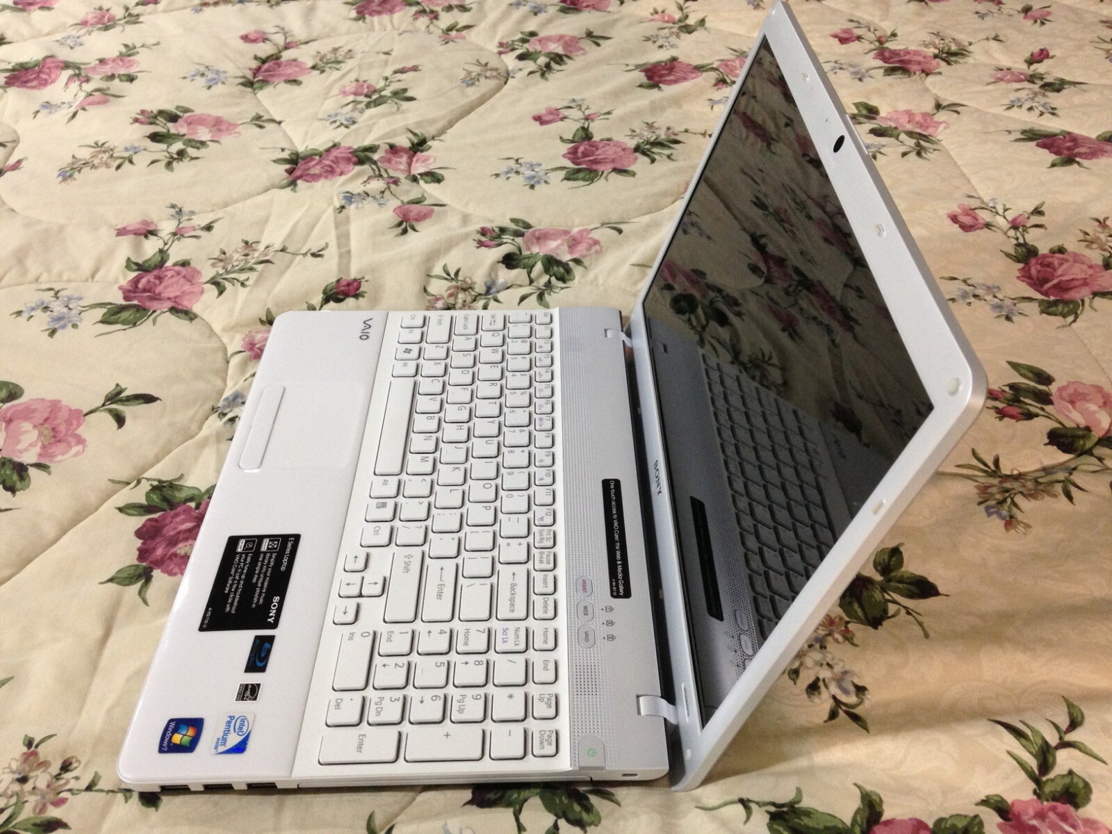 Image 1 - FAST PRETTY SILVER WHITE VAIO VPCEB32FM PENT P6100 2GHz 8GB RAM 15.6