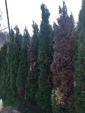 Picture Image Photo Wallpaper Background Beautiful Art # 441