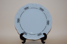 Kuchenteller 19,5cm Viktoria Mussette Hutschenreuther NEU