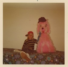 Boy Baseball Cap Giant Pink Poodle Stuffed Animal Carnival Prize VTG Photo 1970s