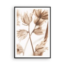 Poster 70x100cm Boho Fiori Secchi Fiori Stampe Immagini Quadri Moderni Murale