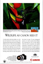 Canon EOS Camera White-tailed Sabrewing Original Vintage Print Ad