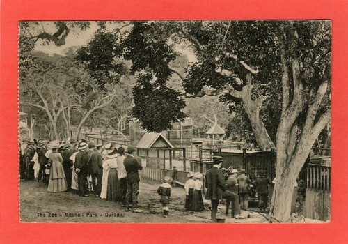 Durban Zoo pc used 1912 Zanzibar Squared Circle Postmark Ref S583 - Picture 2 of 2