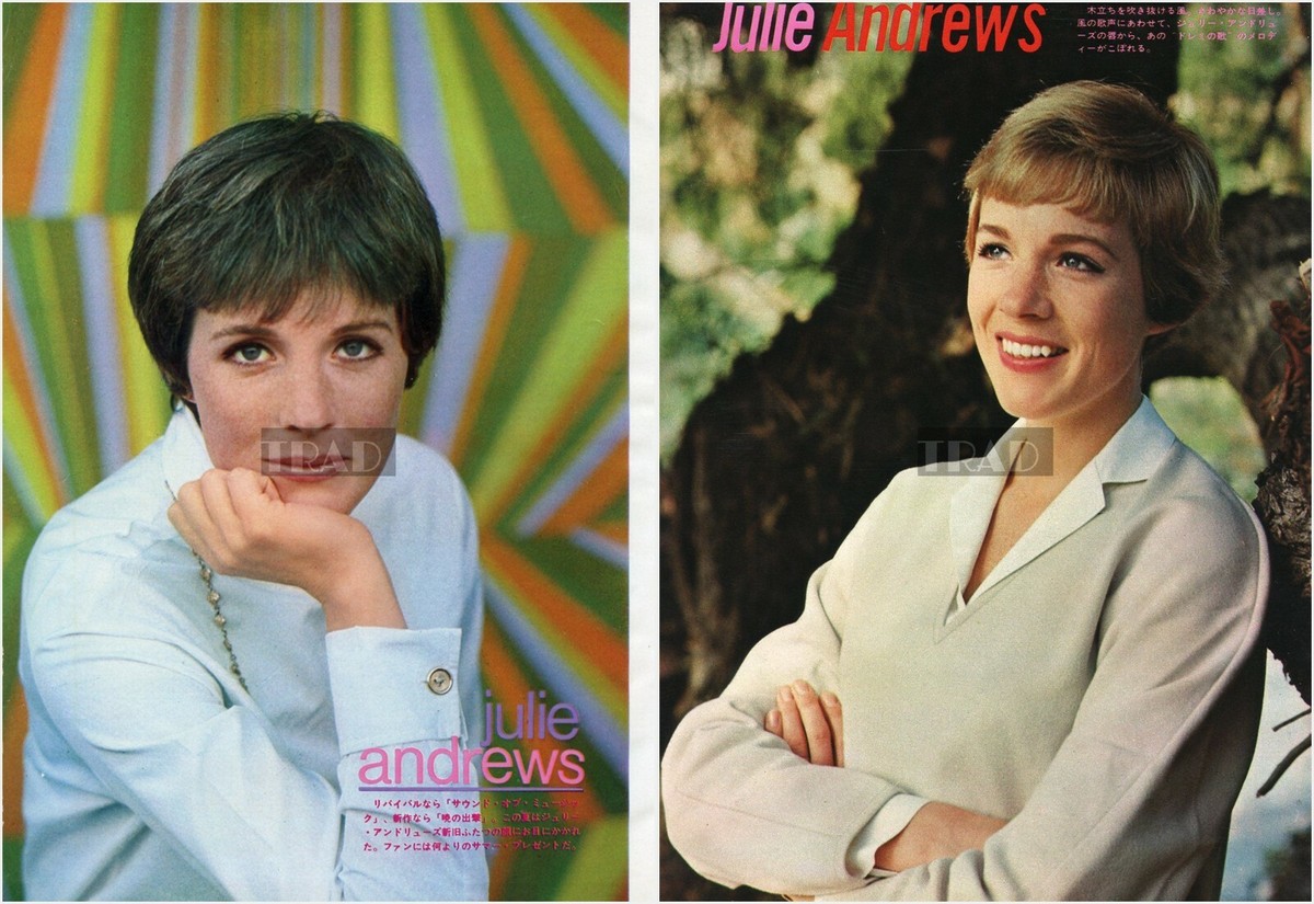 Julie Andrews 1977年初来日 福岡公演チケット半券 顔写真付き Julie