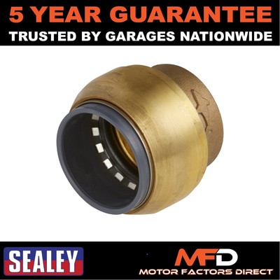 Sealey SharkBite�� Line End Plug 22mm SBA22P