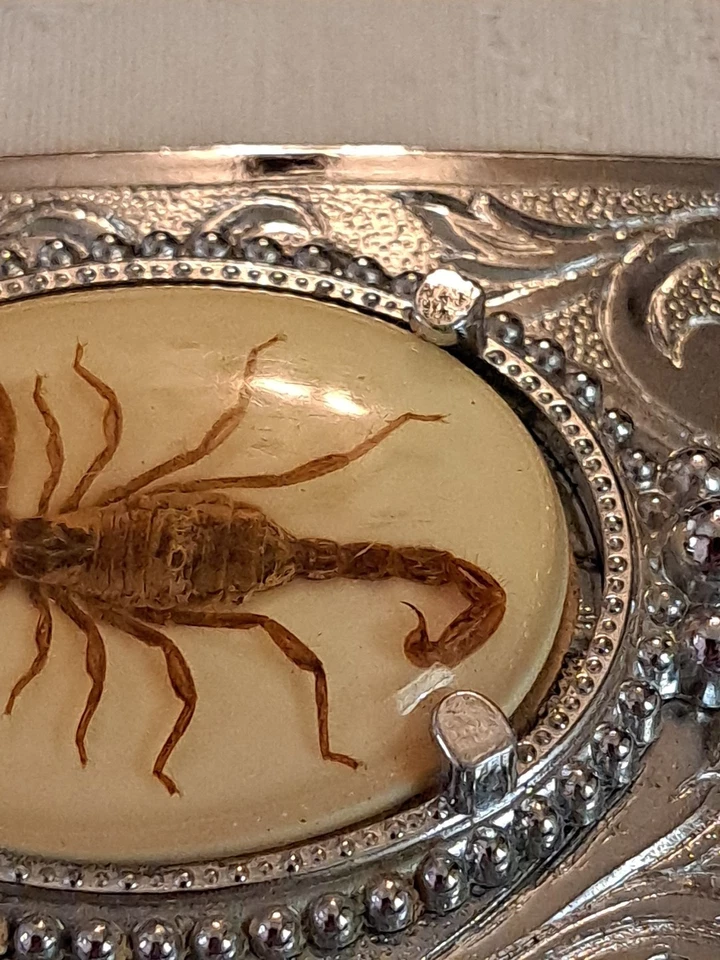Hebilla de cinturón de escorpión real recubierta de resina tono plata vaquero rodeo desierto Foto 3 de 4