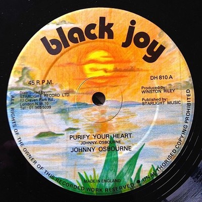Johnny Osbourne - Purify Your Heart / Politician (12'') (Very Good Plus (VG+)) - 