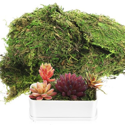 Moosmatte Künstlich Kunstmoos Zum Basteln Artificial Moss for Crafts