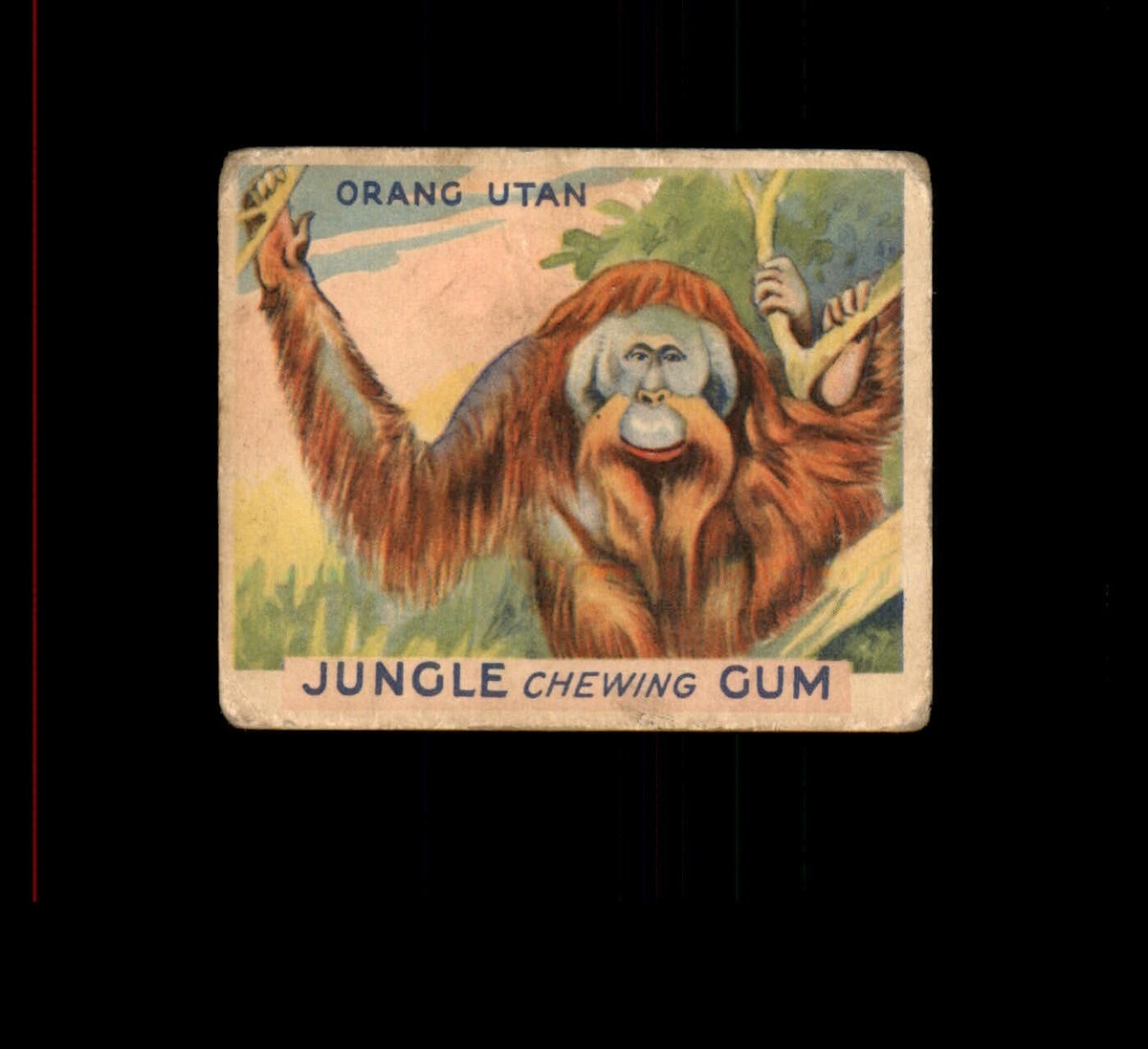 1930 World Wide Gum R78 - JUNGLE CHEWING GUM - ANIMALS Cards U