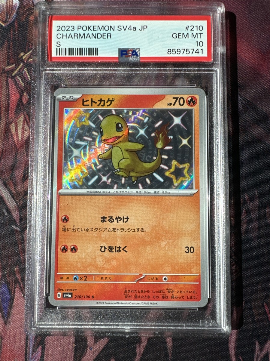PSA 10 Baby Shiny Charmander S #210/109 2023 Pokemon SV4A PSA 10 Baby Shiny Charmander S #210/109 2023 Pokemon SV4A