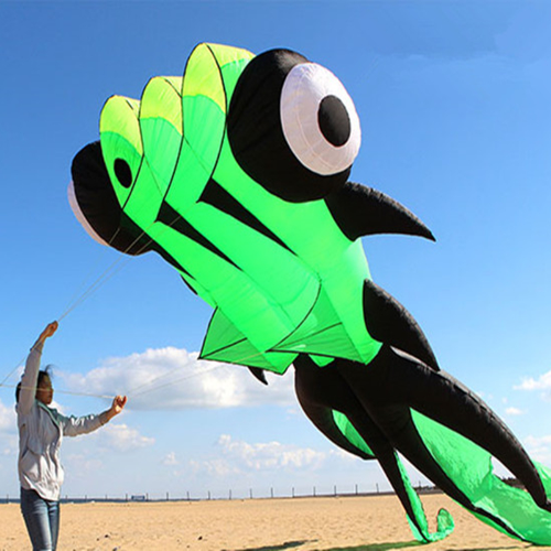 Fish Kite Adult Goldfish Kite Sports Professional Large Inflatable Kite 2022 Fish Kite Adult Goldfish Kite Sports Professional Large Inflatable Kite 2022