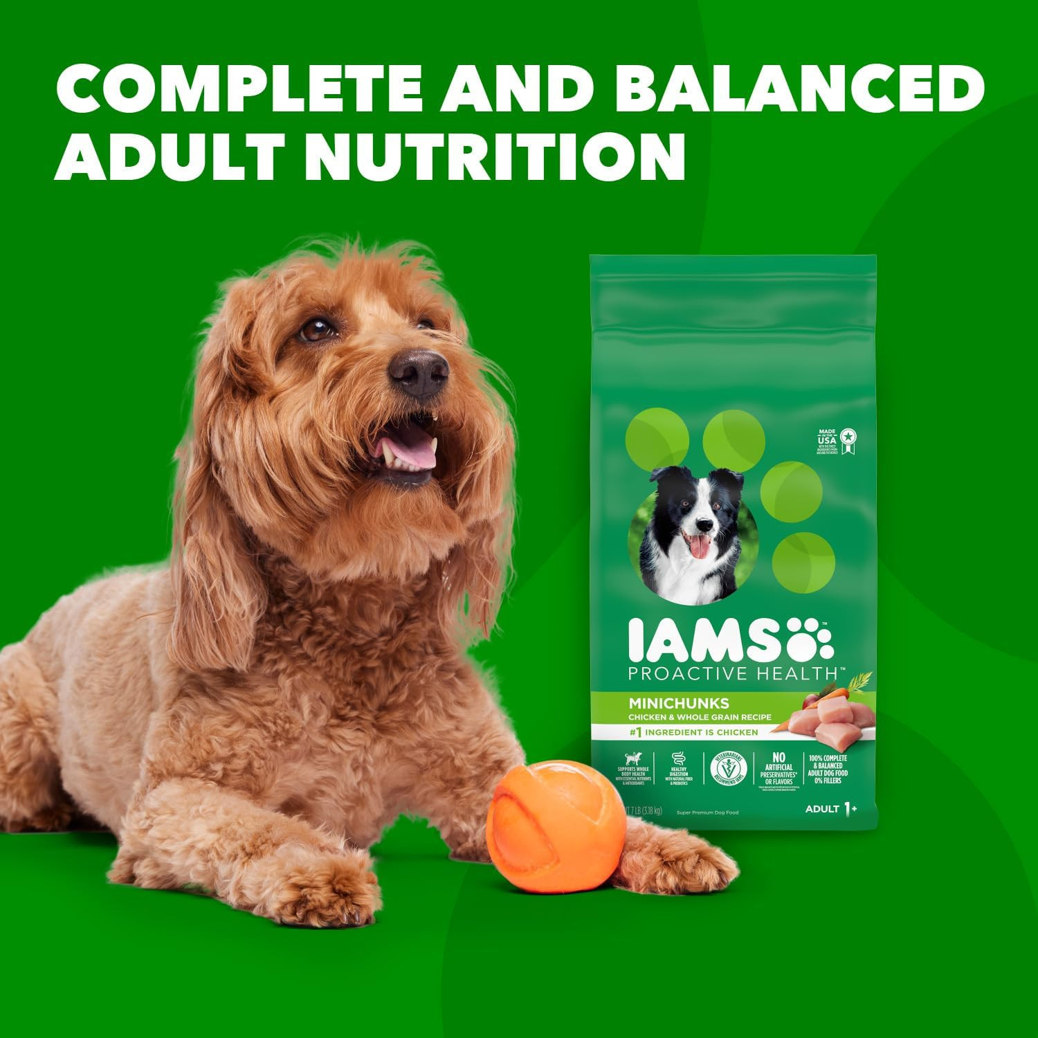 IAMS Proactive Health Minichunks Adult Dry Dog Food with Real Chicken, 30 Lb. 
