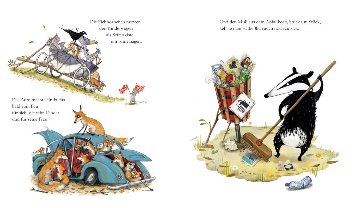 Thumbnail - Viel Zu Viel Zeug, Emily Gravett