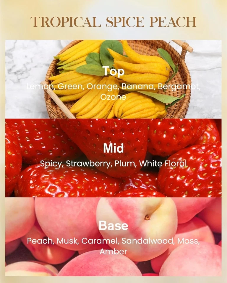 Chic 3-Wick Tropical Spice Peach Candle – 150 Hour Burn Time, Perfect Gift Idea - Image 4 of 4