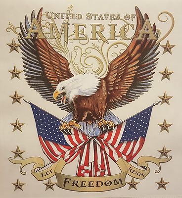 ALL AMERICAN OUTFITTERS UNITED STATES OF AMERICA EAGLE & FLAG LONG SLEEVES SHIRT