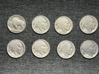 8 Early Buffalo Nickels - Teens 1913 to 1919 - Good Dates Carefully Restored