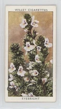 1937 Wills Wild Flowers Series 2 Tobacco Eyebright #38 0sm7