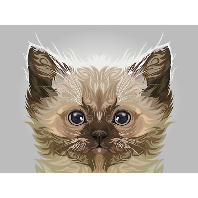 Katze Illustration Perser Kätzchen Kunstdruck Poster Wanddeko 18 x 24 Zoll