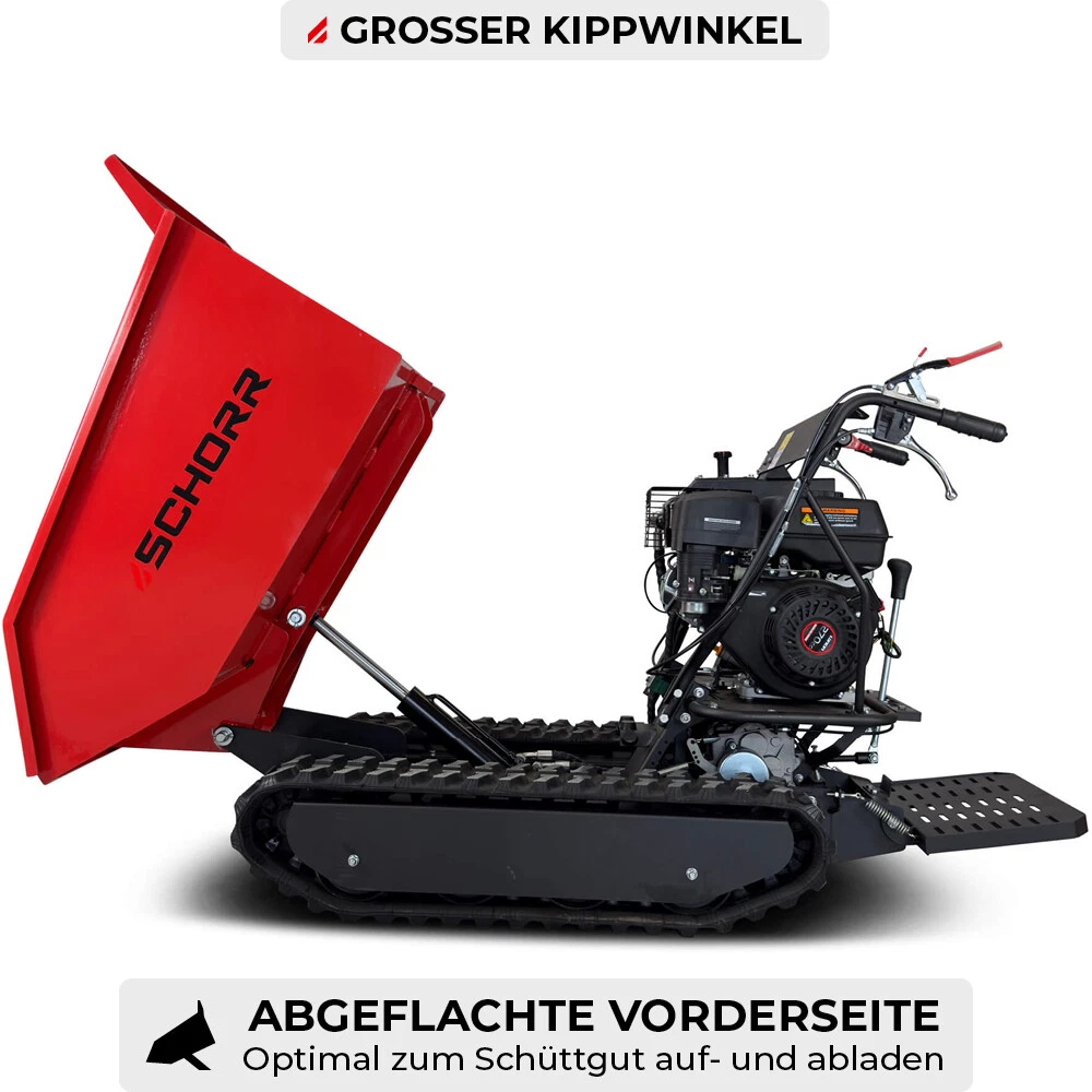 Bild 3 von 12