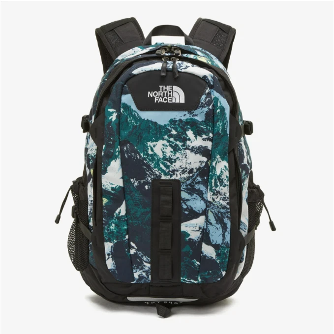 The north 2024 face backpack ebay