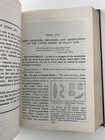 Foto 7 di 12