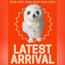 Harry Potter White Owl Plush Toy