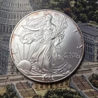 2002 American Silver Eagle 🇺🇸