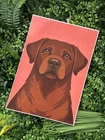 Brown Labrador Retriever A4 Home Decor Print Wall Art Birthday Christmas Gift