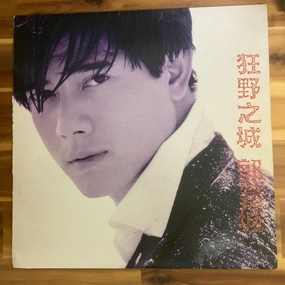 Aaron Kwok 郭富城 - 狂野之城 1994 Korea Vinyl LP