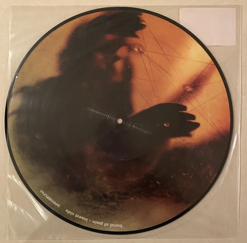 MERZBOW / BAND OF PAIN Reptile-Insect split limited 12" picture disc EP Foto 2 de 3