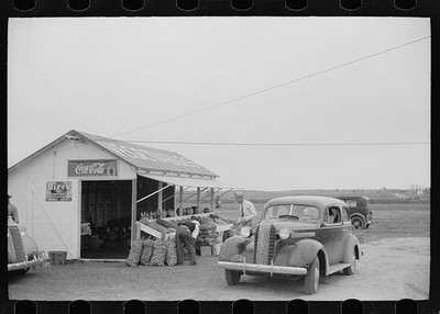 Vegetable Stand along Highway,Rice County,Minnesota,MN,Arthur Rothstein,FSA