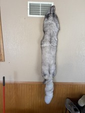 Tanned XXL Blue Fox Hide/Blue Silver Grey Color/Furs/Taxidermy/Crafts. New
